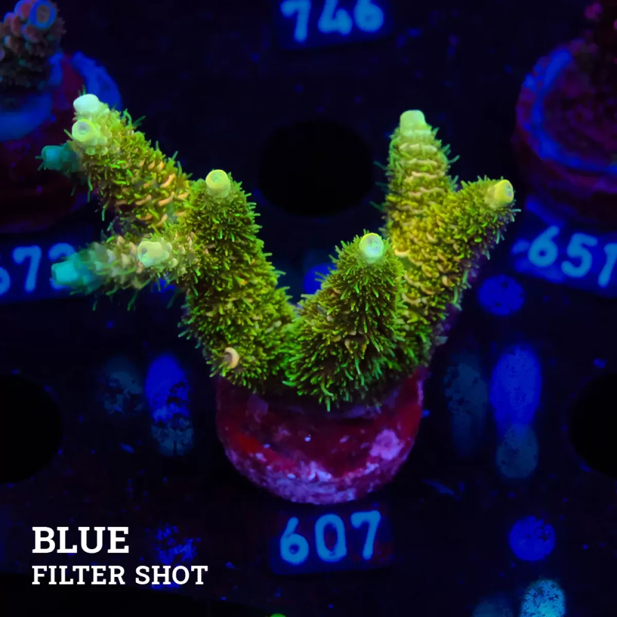 SÜSPANSİYON TAKOZU